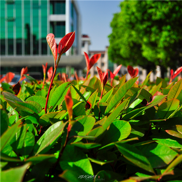 人间四月天，邂逅最美的你！
