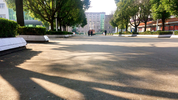 却道天凉好个秋