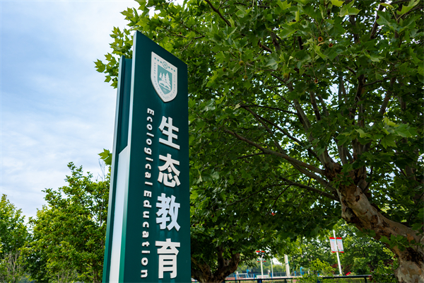 2d95ed32ec3048698480c5a23ea943a6.jpg
